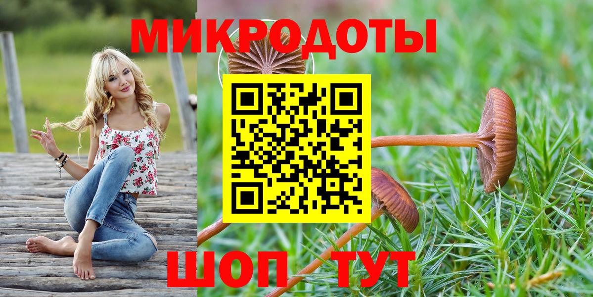 Дмитров  Псилоцибиновые грибы MAGIC MUSHROOMS  Псилоцибиновые грибы мицелий  наркотики  Вход с VPN 
